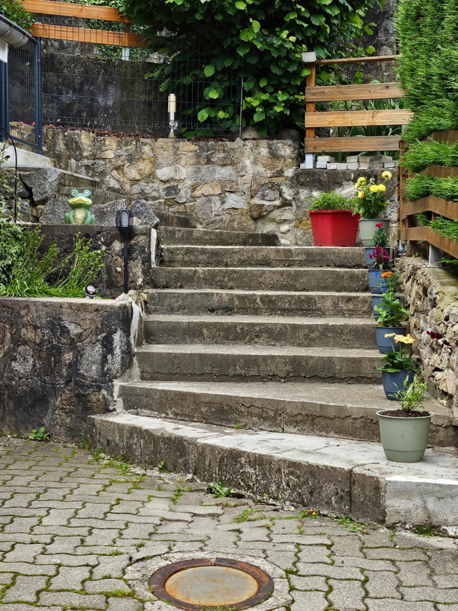 Gite Vallee De Munster 3 Etoiles Chez Flavie & Ludo Muhlbach-sur-Munster Eksteriør billede